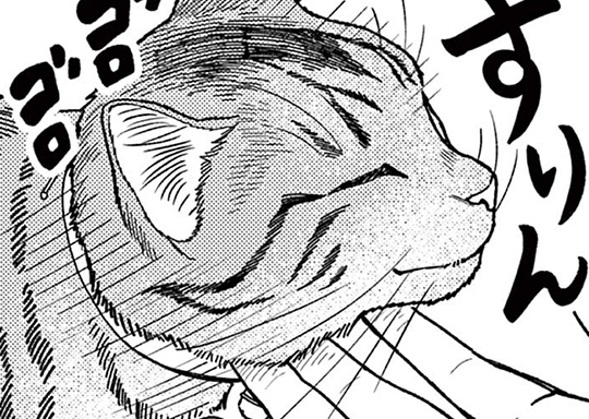 第11話 郷に入っては猫に従え