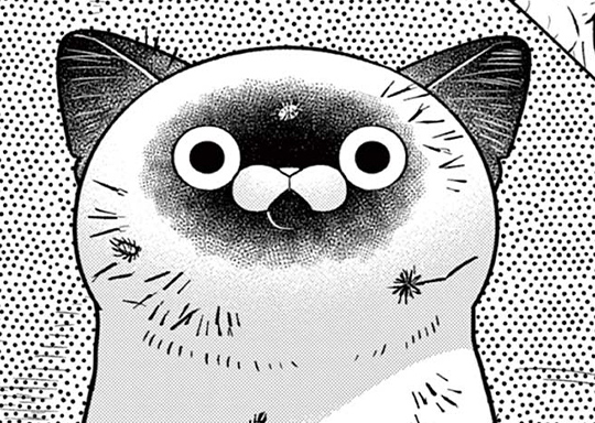 第57戦 冬の凶器（おくりもの） / オヤジとにゃん吉 - 片倉頼