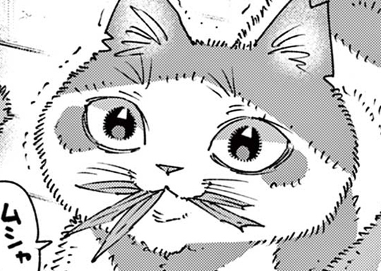 第51話 6つの褒賞