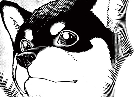 第12話 犬猫相容れず!?