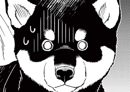 第13話 猫の耳に念仏