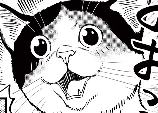 第14話 足元から猫が立つ