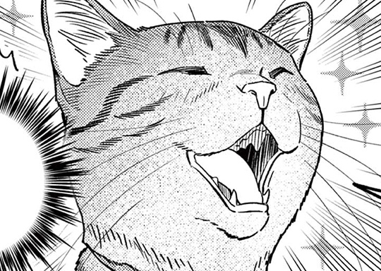 第15話 犬も歩けば猫にあたる