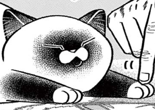 おまけ61 / オヤジとにゃん吉 - 片倉頼 | サンデーうぇぶり