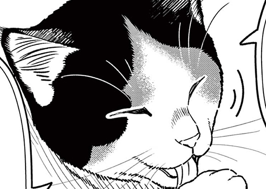 第16話 朱に交われば猫になる