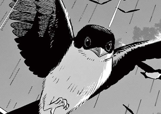 第71話 イワツバメ④