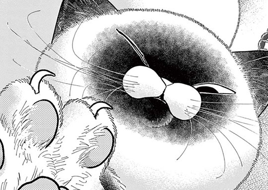 第35戦 激撮！！リベンジマッチ