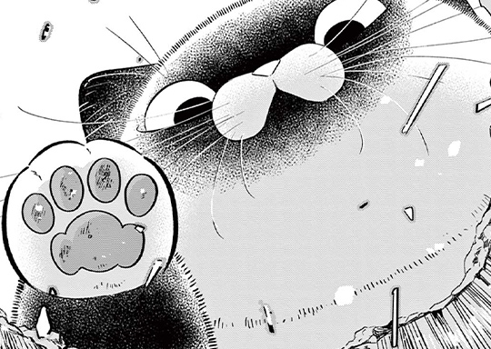 第47戦 霜雪に会いに