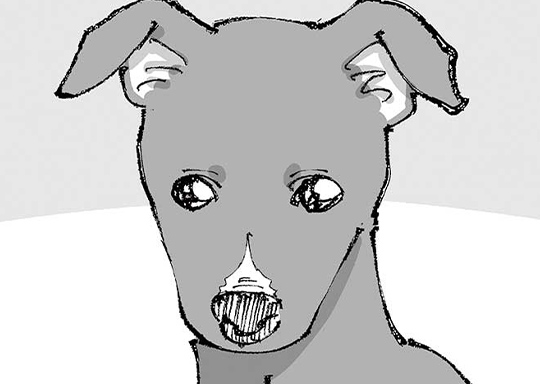 第18話