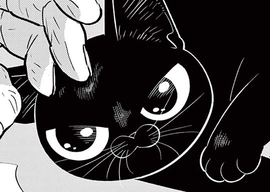 第51戦 こぶんの一日