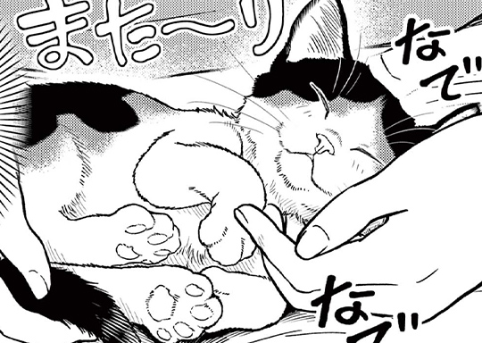 第5話 名は猫を表す?