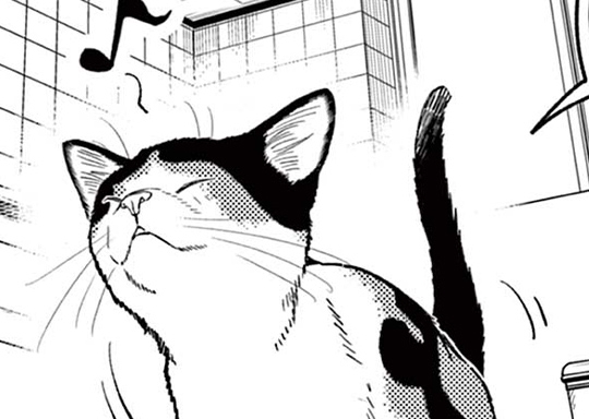 第6話 猫は身を助ける？