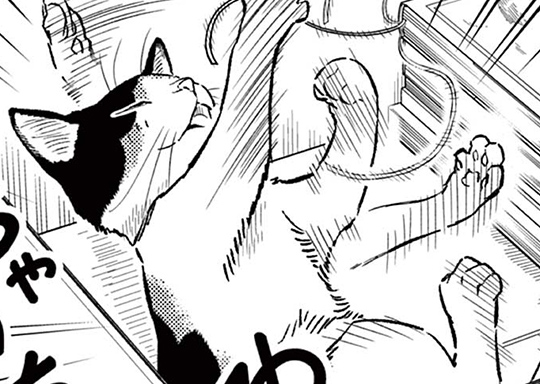 第8話 領地は一日にして成らず！