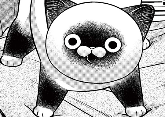 第55戦 暗闇の接近戦 / オヤジとにゃん吉 - 片倉頼 | サンデーうぇぶり