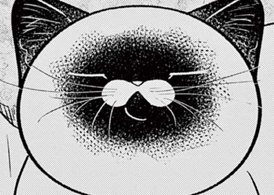 にゃん様オーダーページ Zさま専用です 商品名 ニャンコさま専用 インク Z/X -Zillions of enemy X-