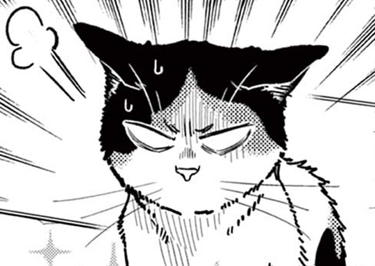 第10話 新天地を叩いて渡る