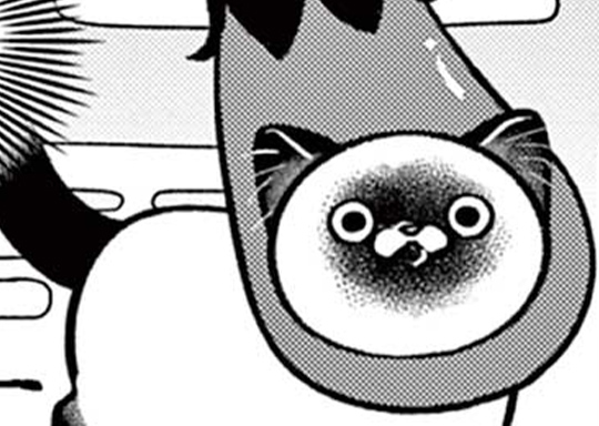 おまけ56 / オヤジとにゃん吉 - 片倉頼 | サンデーうぇぶり