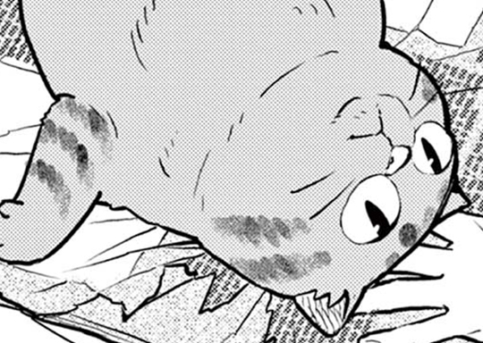 31. 第31話 消えた白猫