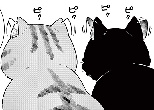 33. 第33話 猫に装備品を