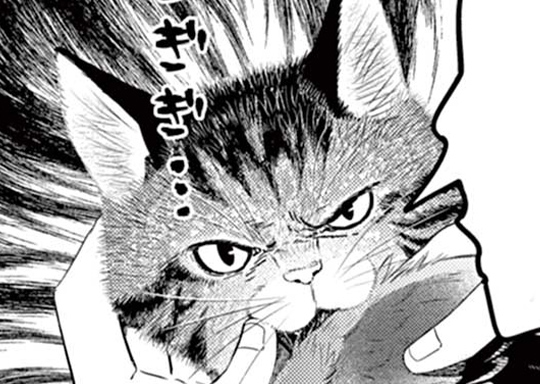 第38話 アオバト①