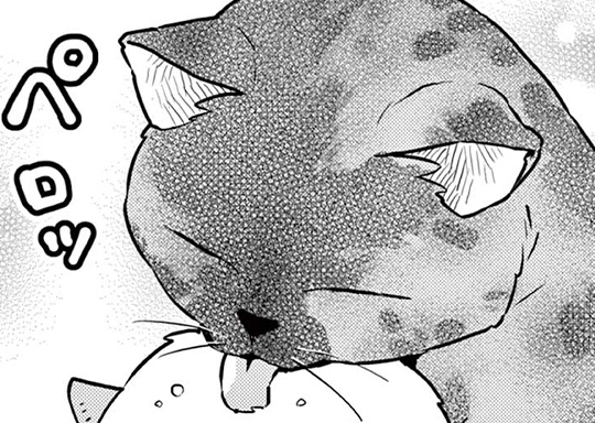 36. 第36話 大きくなった子猫氏