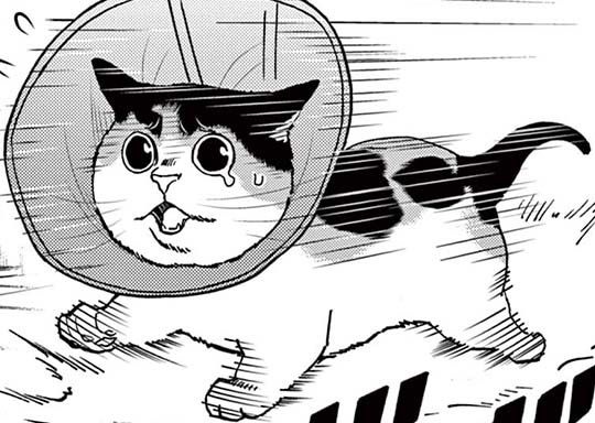 140. 第70話 エリザベスカラー