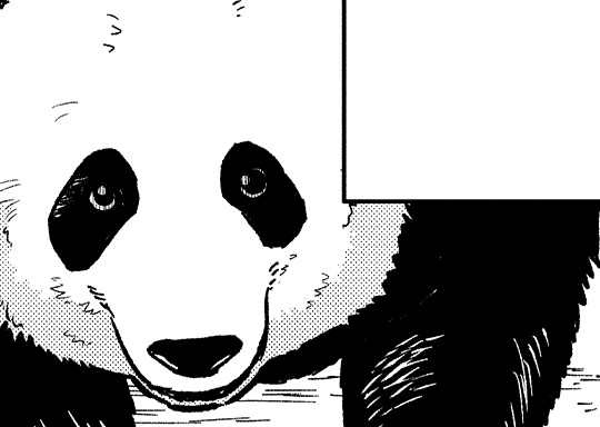 PANDA