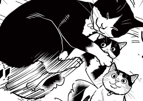 147. おまけ第73話 