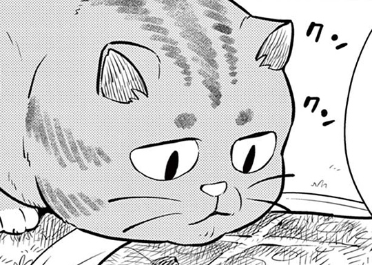 9. 第9話 ひざだけは譲れない