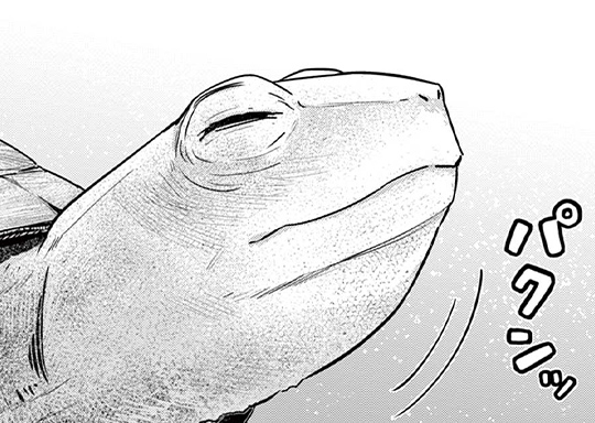 第11話 イシガメ