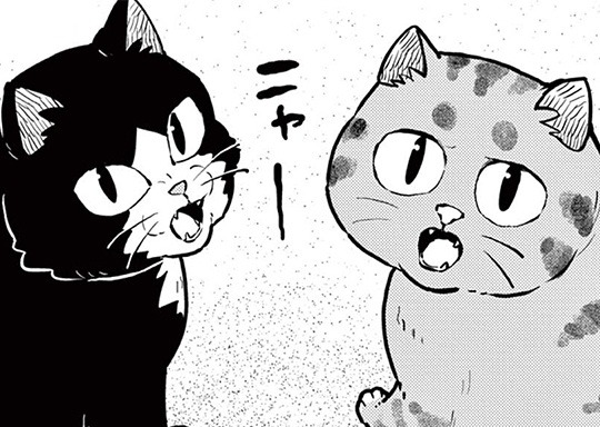 25. 第25話 砂漠のボス猫