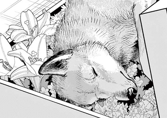 第47話 ノライヌ②