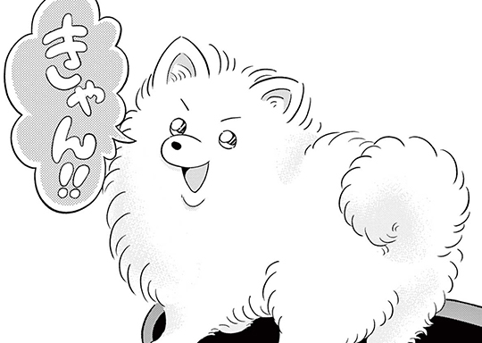 42. FILE.42 名わんこポメ太郎 ~根性の肉球~