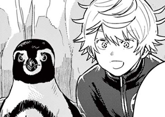 第65話 ペンギン⑤