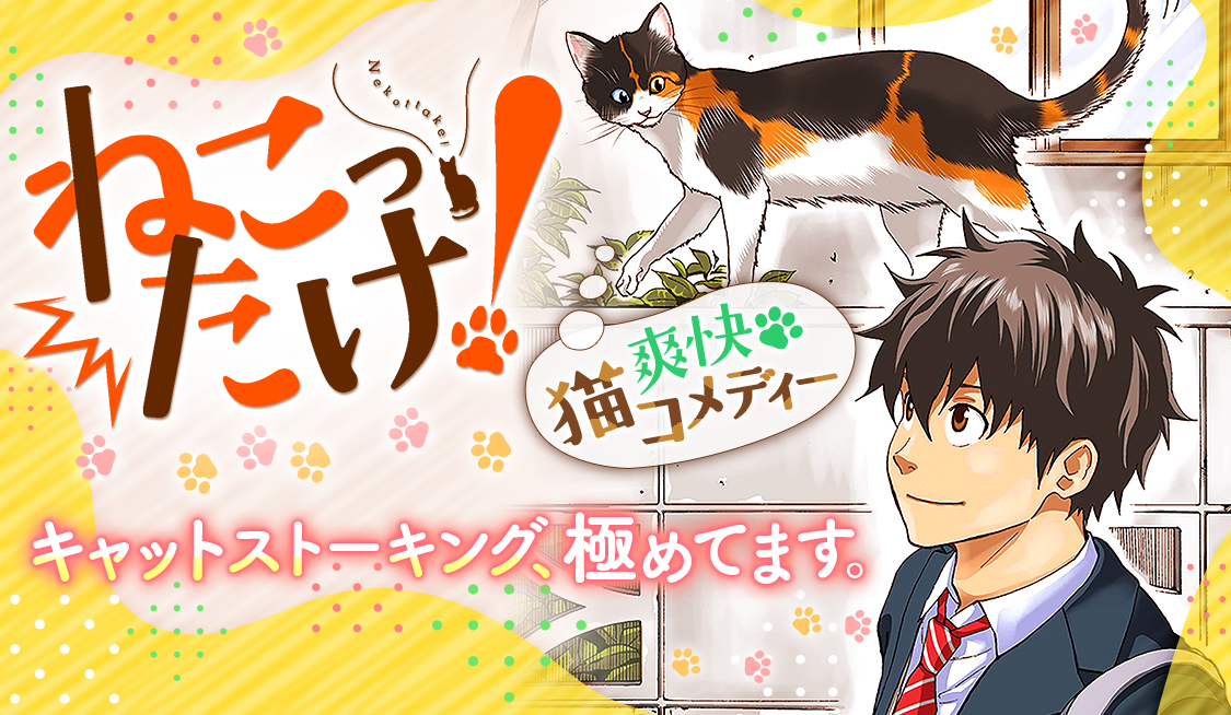 1. 1匹目 とんだネコバカ (1) / ねこったけ！ - 灘谷航 | サンデーうぇぶり